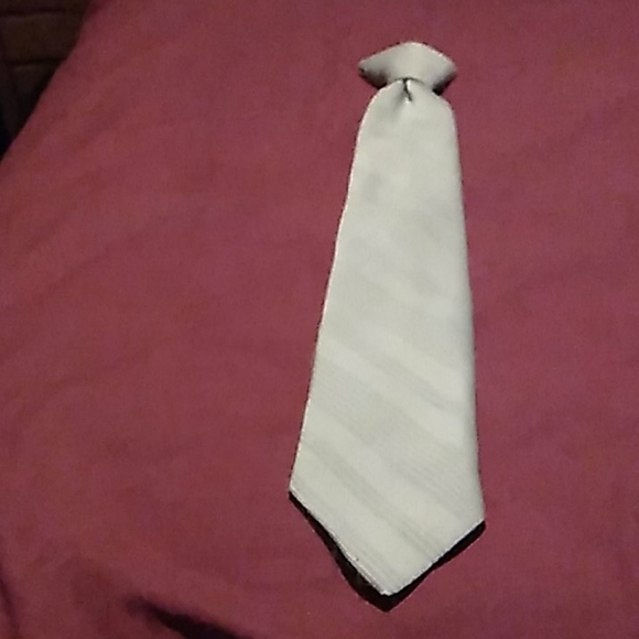 Necktie - Picture 5 of 7